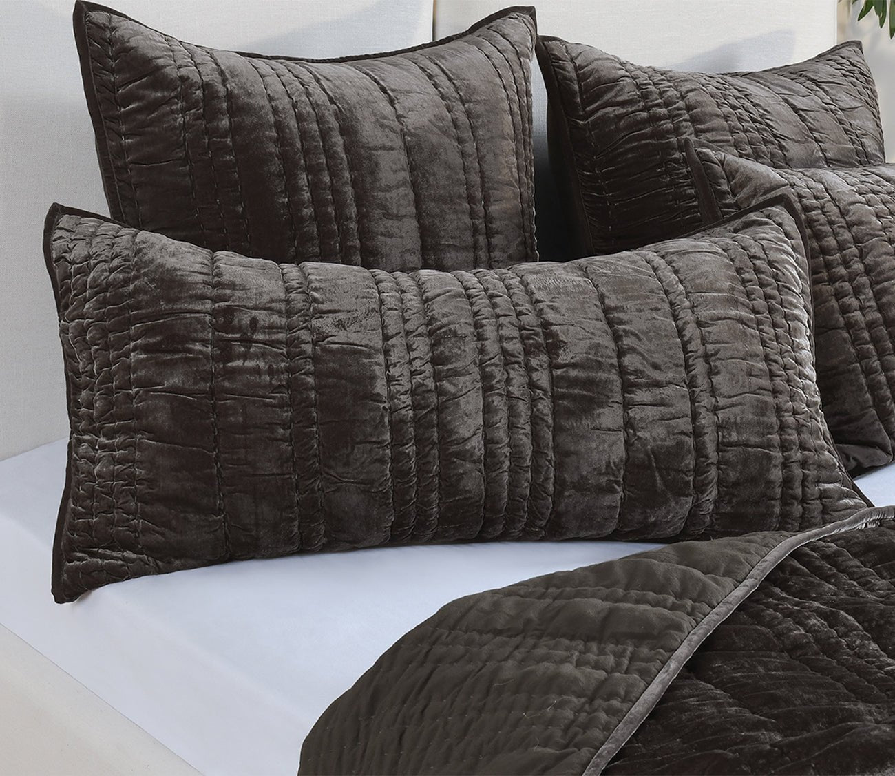 Black velvet pillow outlet shams