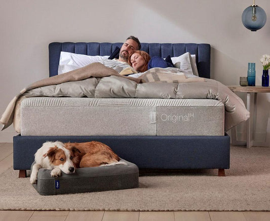 Bed in a Box: Why Should You Buy from City Mattress? - City Mattress