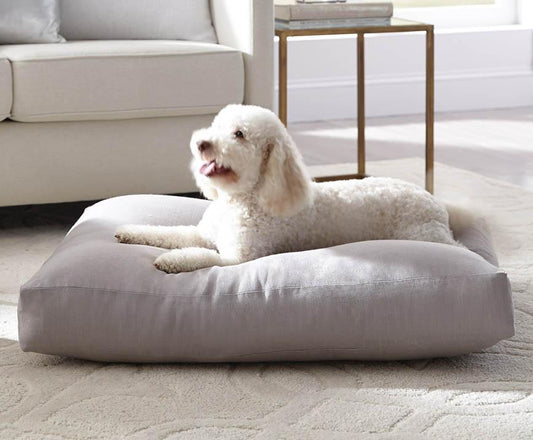 How do Dogs Choose Where They Sleep? - City Mattress