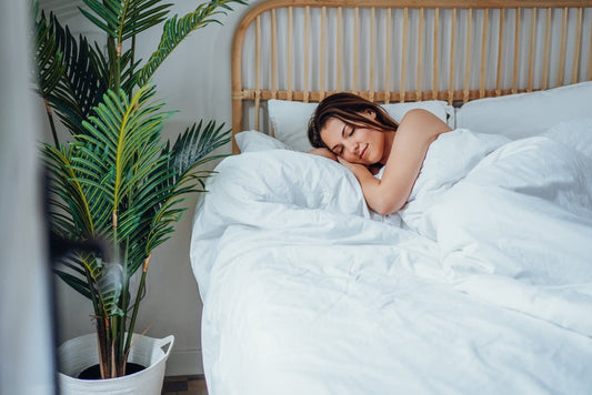 Sleep and Immune Health: Why Sleep Matters More Than Ever - City Mattress