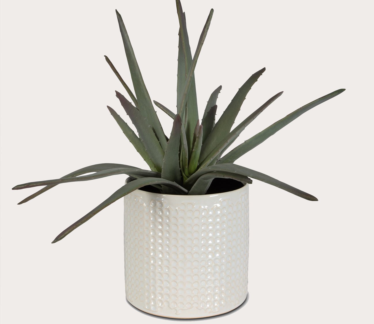 Taos Faux Aloe Plant Centerpiece by Uttermost