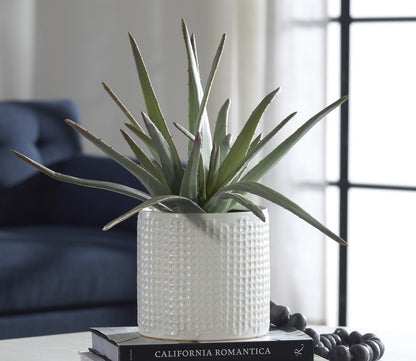 Taos Faux Aloe Plant Centerpiece by Uttermost