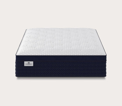 Auburnwood Plush Euro Top Mattress by Kingsdown