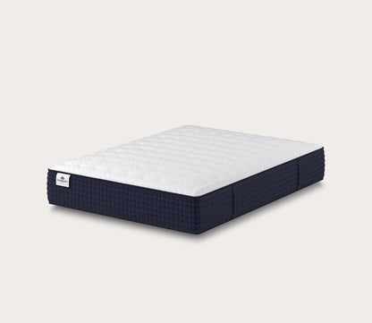 Auburnwood Plush Mattress by Kingsdown