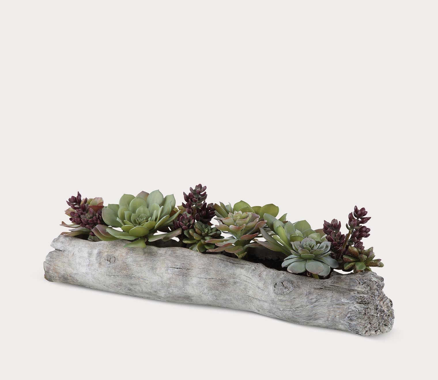 Charita Lush Succulents by Uttermost