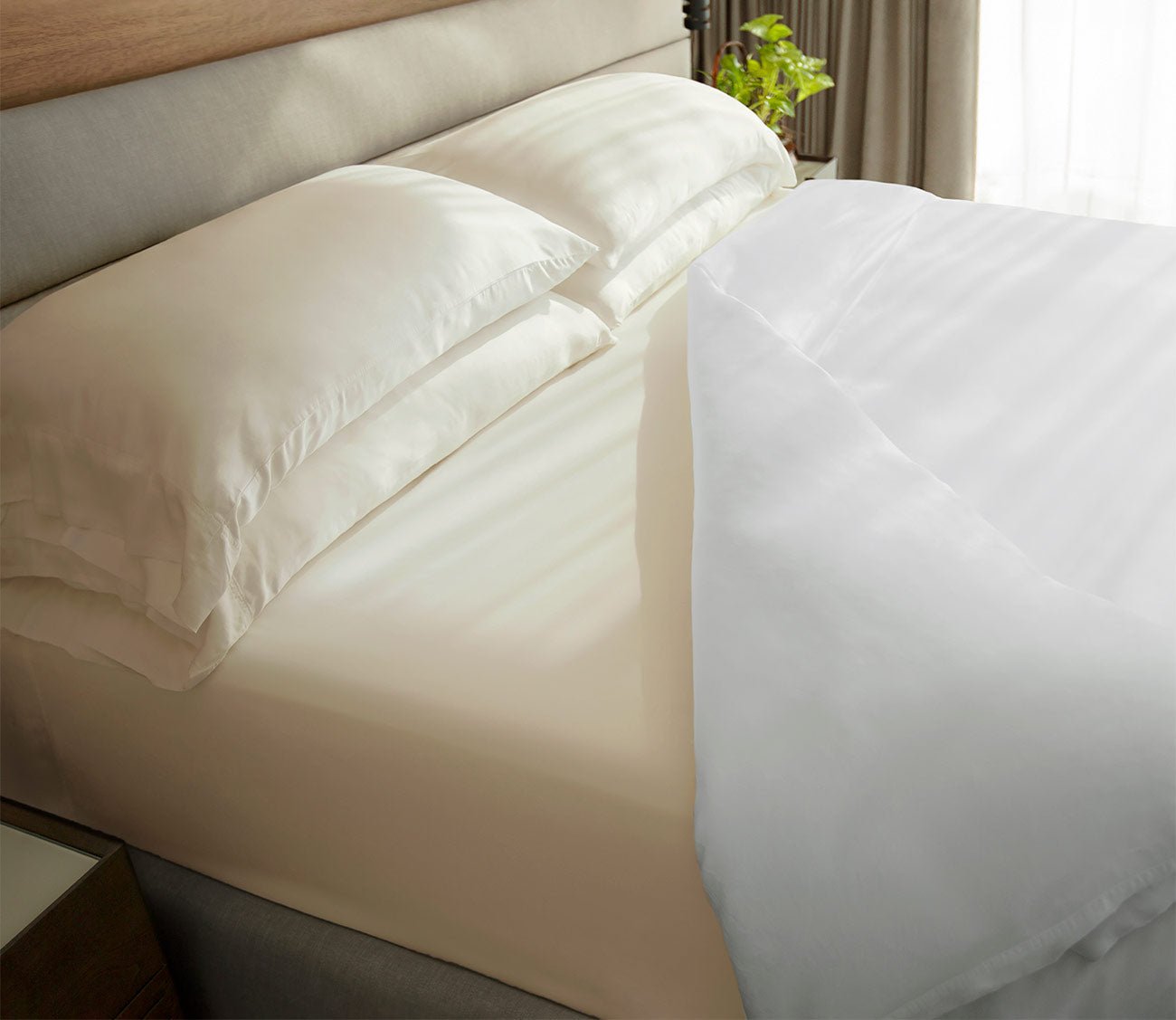 Cariloha's Classic Bamboo Bed Sheet Set - 100 Viscose Bamboo – City ...