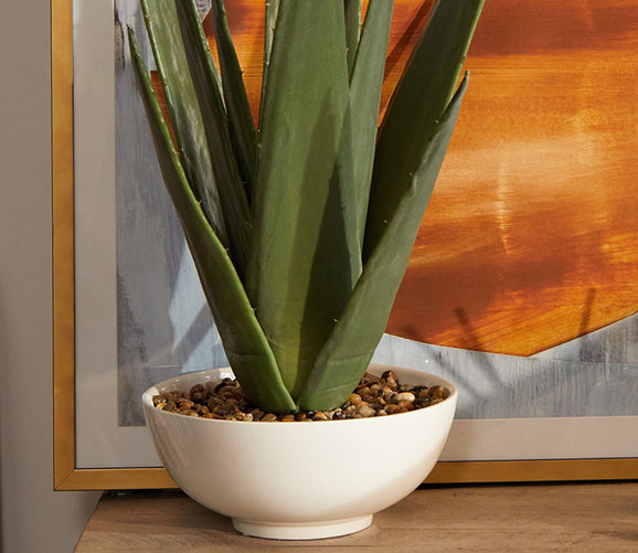 Evarado Aloe Planter by Uttermost