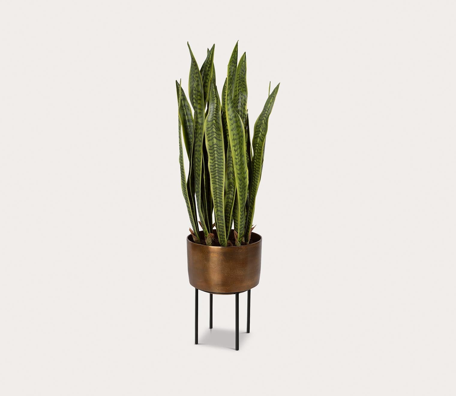 Fasita Brass Planter by Uttermost