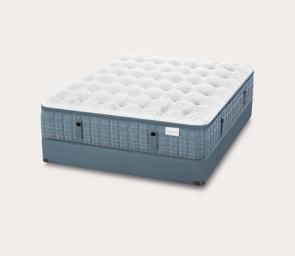 Luxetop M2+ Plush Mattress by Aireloom