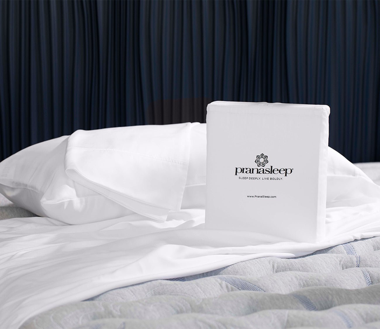 Maderia Biobased Lyocell Pillowcase Set of 2 by PranaSleep