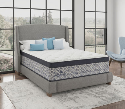 Nuovo Plush Euro Top Innerspring Mattress by Kingsdown