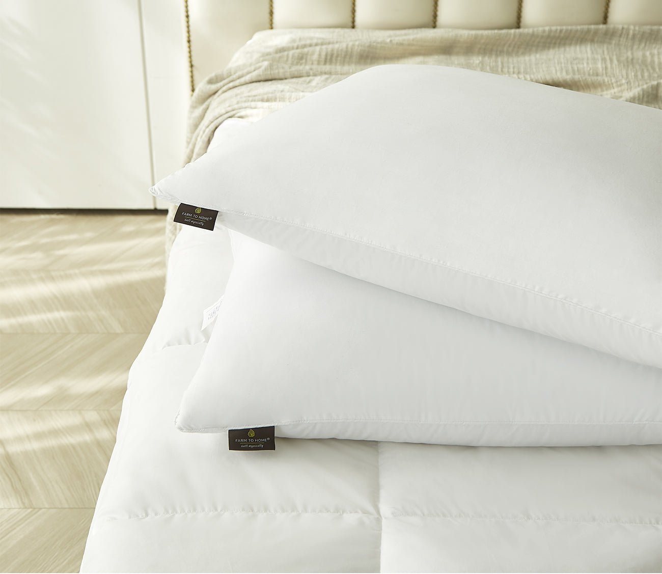 Organic Cotton Softy-Around White Feather and Down Pillow 2-Pack by Farm To Home