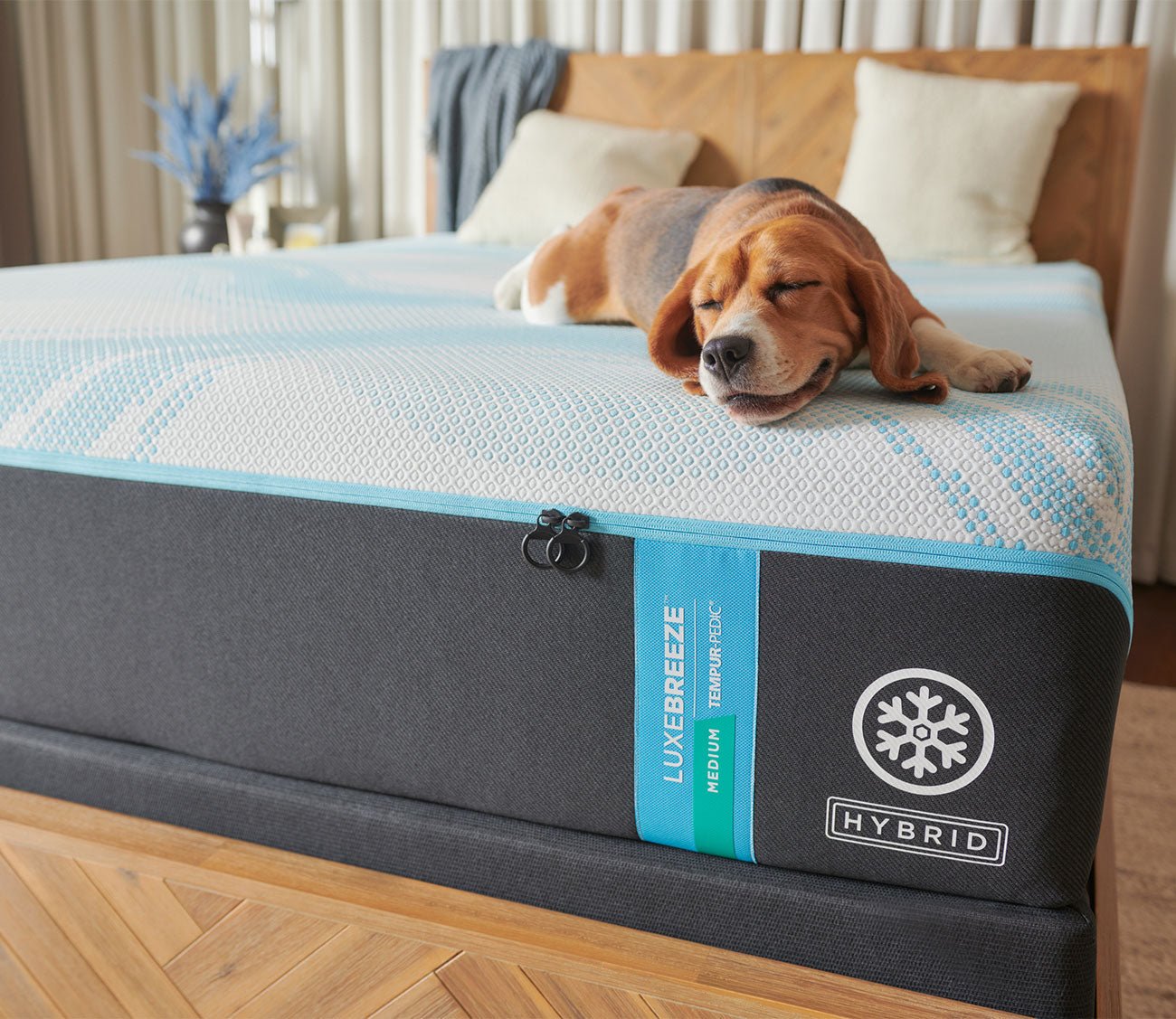 Tempur pedic cheap pet bed