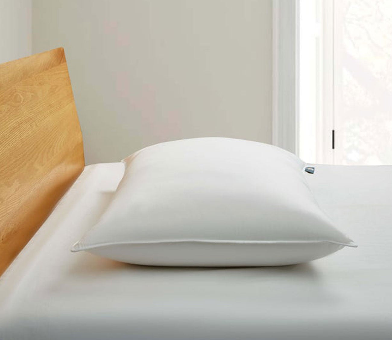 Cannon 300 thread count latex foam clearance pillow